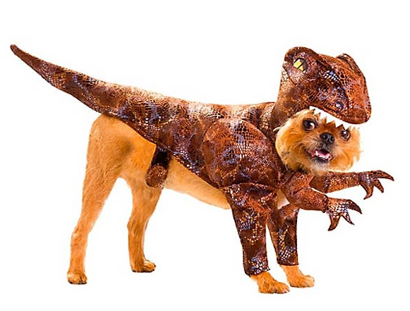 Le déguisement dinosaure vélociraptor pour chien